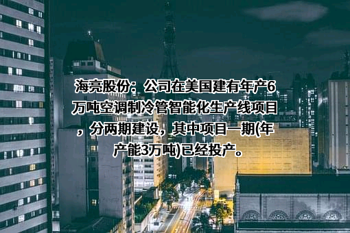 浙江海亮股份有限公司
