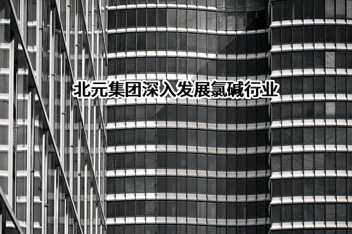 陕西北元化工集团股份有限公司