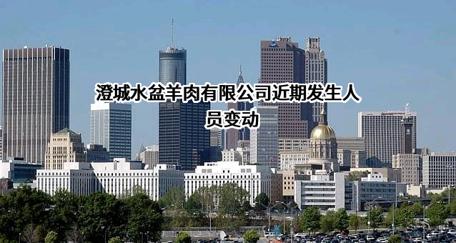 澄城水盆羊肉有限公司