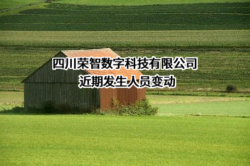 四川荣智数字科技有限公司