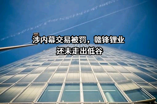 天齐锂业股份有限公司